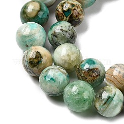 Natural Green Line Jasper  Beads Strands&nbsp;G-L639-A01-8mm