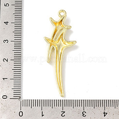 Rack Plating Alloy Pendants&nbsp;FIND-I039-044D-G