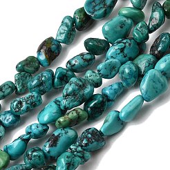 Natural HuBei Turquoise Bead Strands&nbsp;G-H345-A01-10