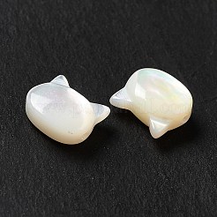 Natural White Shell Beads&nbsp;SHEL-G014-10B-02