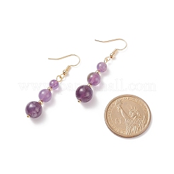 Natural Gemstone Round Beaded Long Dangle Earrings&nbsp;EJEW-JE05017