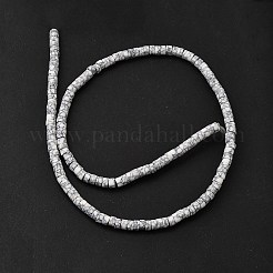Dyed Synthetic Turquoise Beads Strands&nbsp;G-Z089-A04-A