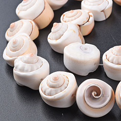 Natural Spiral Shell Bead Strands&nbsp;SSHEL-N034-106