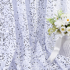 2Yards PET Paillette Velvet Fabric&nbsp;AJEW-DC0001-87B