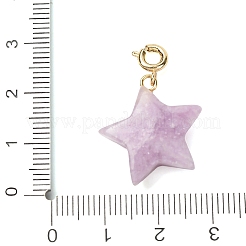 Natural & Synthetic Gemstone Star Pendant Decorations&nbsp;G-B188-05G