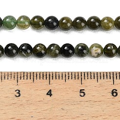 Natural Green Tourmaline Beads Strands&nbsp;G-P627-4mm-03
