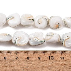 Natural Seashell Shell Beads Strands&nbsp;SH-CBAFA8D-01