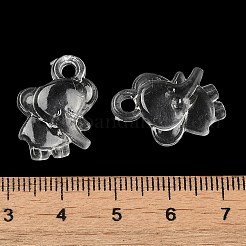 Transparent Acrylic Pendants&nbsp;TACR-G048-31