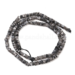 Natural Larvikite Beads Strands&nbsp;G-G345-C05-2x4mm