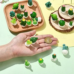 24Pcs 12 Styles Cactus Miniature Ornaments&nbsp;DJEW-CJ0001-25