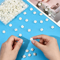 200Pcs ABS Imitation Pearl Beads&nbsp;OACR-LT0001-10