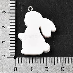 Opaque Resin Pendants&nbsp;RESI-V0003-02B
