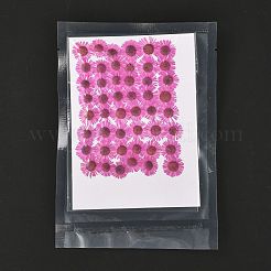 Centaurea Iberica Embossing Dried Flower&nbsp;DIY-K032-65E