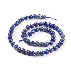 Natural Lapis Lazuli Beads Strands&nbsp;G-J385-F01-A