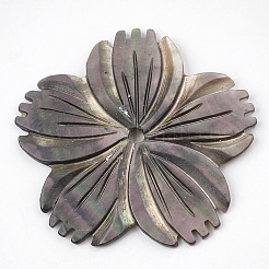 Black Lip Shell Beads&nbsp;SSHEL-S251-11