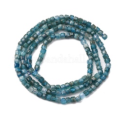 Natural Apatite Beads Strands&nbsp;G-C196-B01-2x2mm