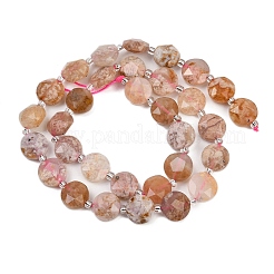 Natural Cherry Blossom Agate Beads Strands&nbsp;G-C116-A173-01