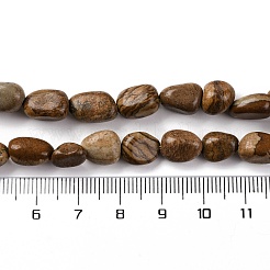 Natural Picture Jasper Beads Strands&nbsp;G-G146-A01-01