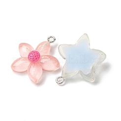Transparent Resin Pendants&nbsp;RESI-Z043-04P