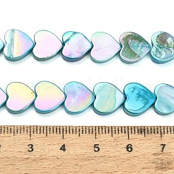 Natural Freshwater Shell Beads Strands&nbsp;SH-CBA93AD-06A