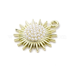 Alloy Pendants&nbsp;ENAM-F152-04G