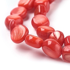 Freshwater Shell Beads Strands&nbsp;BSHE-O017-07