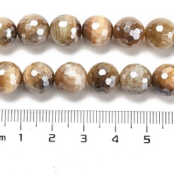 Electroplated Natural Tiger Eye Round Beads Strands&nbsp;G-L598-A04-03