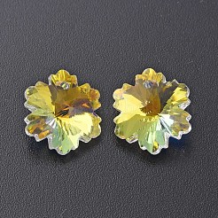 Electroplated Glass Charms&nbsp;EGLA-N006-015D