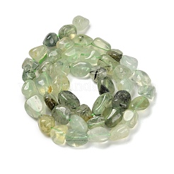 Natural Prehnite Beads Strands&nbsp;G-P497-01E-39