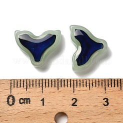 Glass Beads&nbsp;GLAA-P072-07B