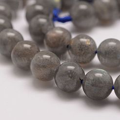 Natural Labradorite Bead Strands&nbsp;G-P259-03-6mm