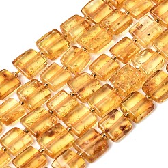 Natural Amber Beads Strands&nbsp;G-C260-A01-03