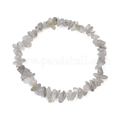 Natural Labradorite Chip Beaded Stretch Bracelets for Men Women&nbsp;BJEW-JB12086-02