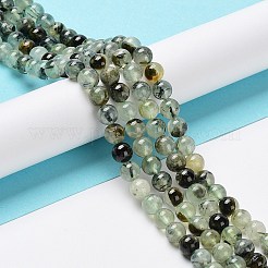 Natural Prehnite Beads Strands&nbsp;LS-G-P322-48-6mm-01
