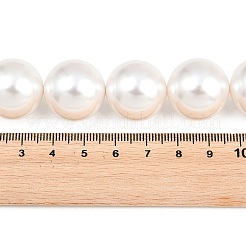 Shell Pearl Bead Strands&nbsp;BSHE-H001-06