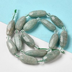 Natural Amazonite Beads Strands&nbsp;G-H297-A07-01