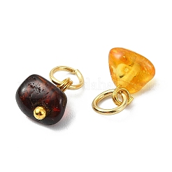 Natural Amber Pendants&nbsp;PALLOY-JF05483
