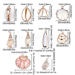 Electroplate 
Natural Shell Pendants&nbsp;SSHEL-SC0001-03