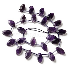Natural Banded Amethyst Beads Strands&nbsp;G-P607-A09-01