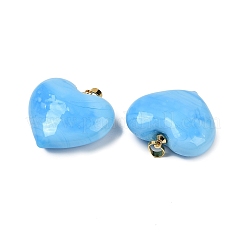 Handmade Lampwork Pendants&nbsp;LAMP-G160-01J