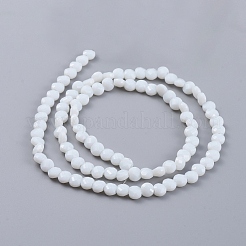 Glass Beads Strands&nbsp;EGLA-J149-B12