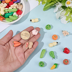 60Pcs Opaque Resin Pendants&nbsp;RESI-SC0006-41