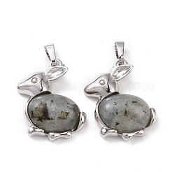 Natural Labradorite Bunny Pendants&nbsp;G-E422-20P