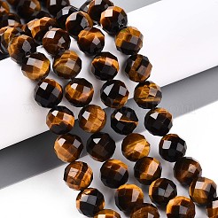 Natural Tiger Eye Beads Strands&nbsp;G-S345-10mm-22