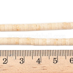 Natural Fossil Beads Strands&nbsp;G-H230-11