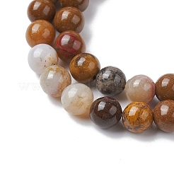 Natural Ocean Jasper Beads Strands&nbsp;G-C102-B01-01