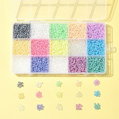 225G 15 Colors Glass Seed Beads&nbsp;SEED-FS0001-35