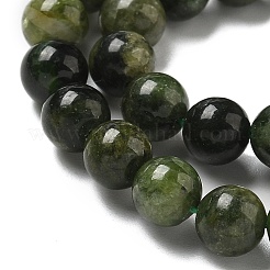 Natural Green Diopside Beads Strands&nbsp;G-K382-B01-01