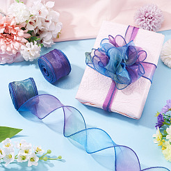 2 Rolls Polyester Mesh Ribbons&nbsp;SRIB-TA0003-42A
