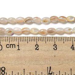 Natural Freshwater Shell Beads Strands&nbsp;SHEL-H072-03